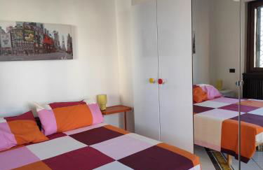 la gerbera - Foto 18