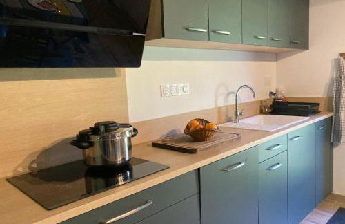 Beautiful Landes house park and tennis near ocean - Foto 9