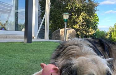 La Loggia Ferienhaus mit Privat Pool - Photo 35