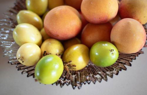 Apartamento las Viñas 2 - Foto 8