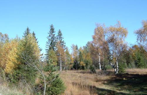 Ferienwohnung Freißl - Foto 16