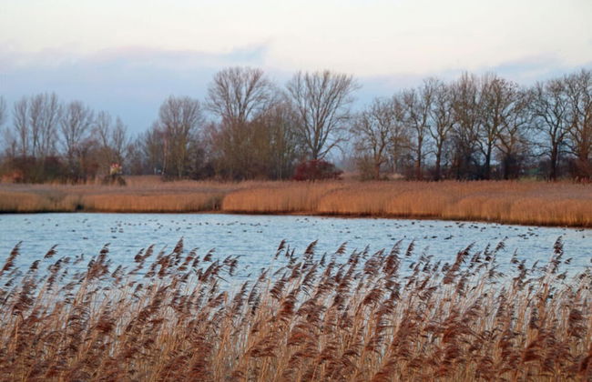 Lake View Modern Retreat - Foto 21