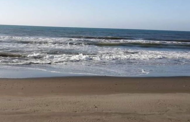 Live N Love - Photo 19