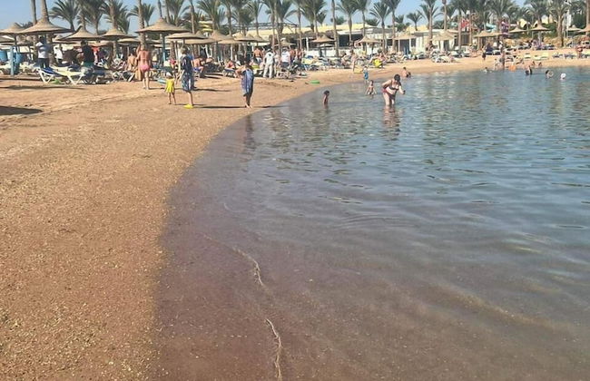 Hostgool Beach Chalets Mirage Bay Resort & aqua park - Foto 65