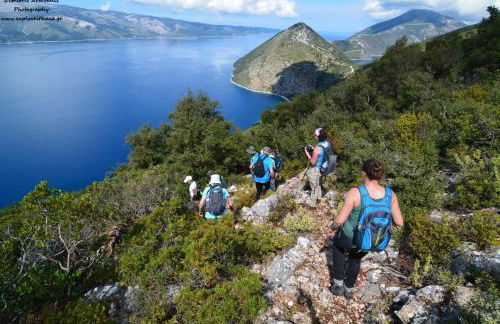 Olivea Premium Holiday Homes - Foto 41