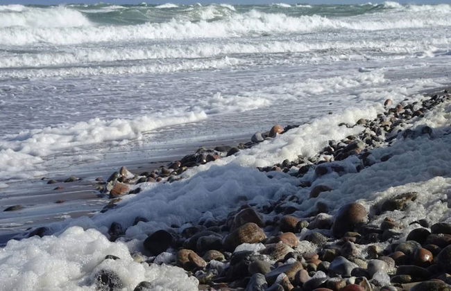 4 Person Holiday Home in Graested - Foto 48