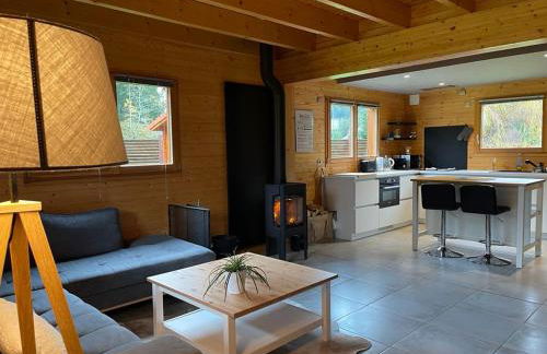 Le Chalet de la Devinière, bain nordique extérieur chauffé - Foto 13