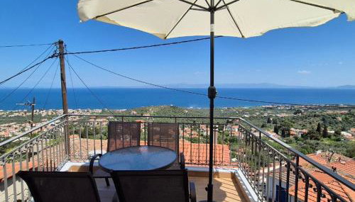 Ελιά Ξενώνας / Elia Xenonas - Foto 2