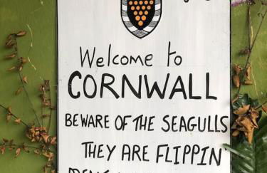 Marners Rock No 3 - Foto 43