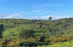 Monte da Marouca-Mont’Argil - Foto 75