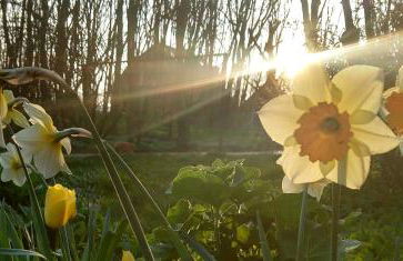 Piratennest - Foto 8