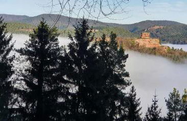 Ferienhaus Korn mitten im schönen Pfälzer Wald, Privat Haus - Foto 12