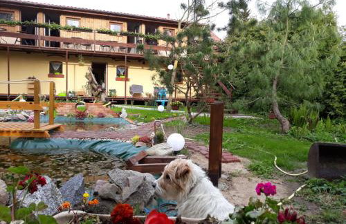 Dworska Zagroda - Foto 29