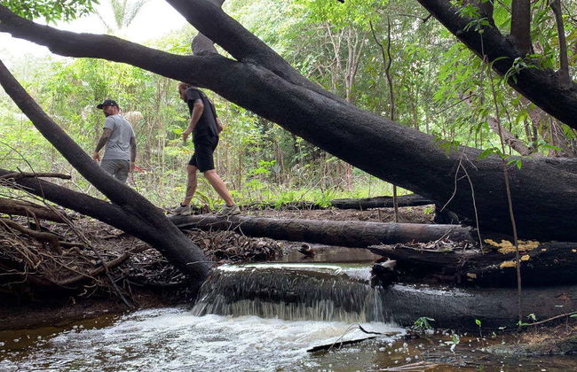 Excursión a la selva amazónica - Foto 6