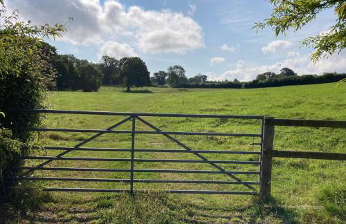 The Long Room - Foto 11