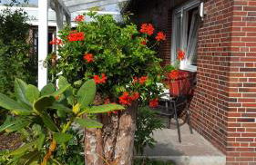 Wohnung 1 Haus- Annegrete mit überdachter Terrasse zum Garten - Foto 8