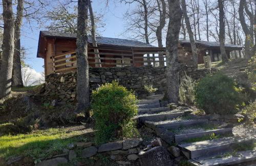 La Albarina - Foto 19