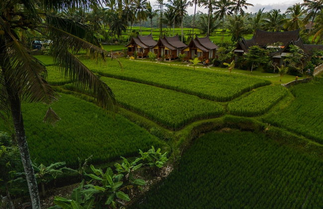 Mathura Ubud - Foto 46