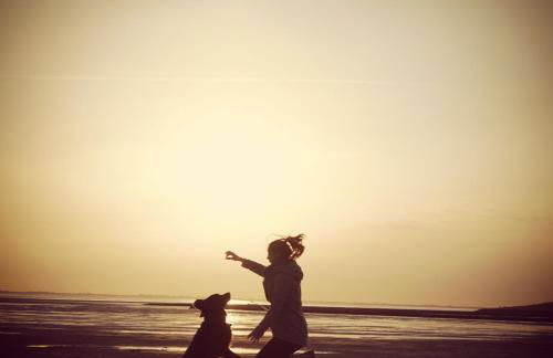 Reetdachhaus Deichkrone - Foto 20