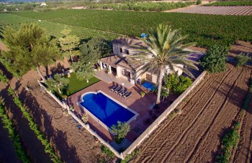 Vinyes Can Grau - Foto 10