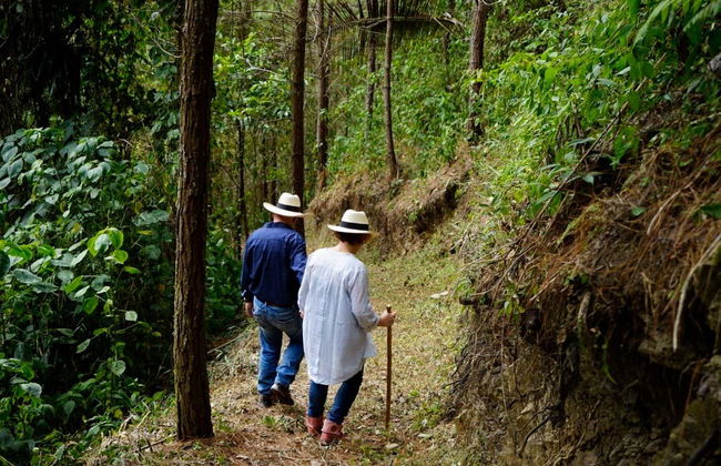 Senderismo por los cafetales de Salgar - Foto 6