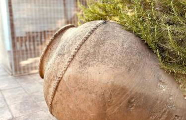 Casa Coronado Vivienda Rural - Foto 9