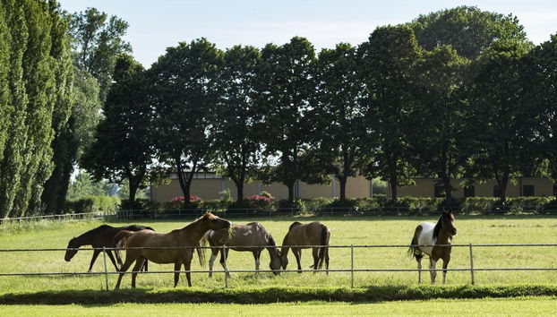 Agriturismo Relais Tenuta Il Cigno - Photo 3