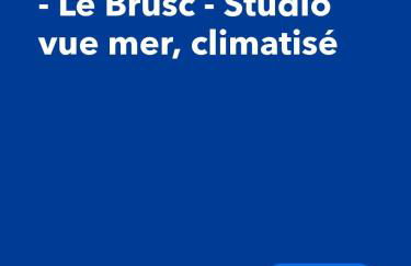 Six Fours les Plages - Le Brusc - Studio vue mer, climatisé - Foto 2