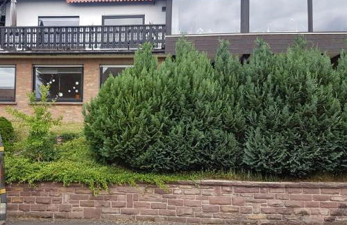 Ferienwohnung "Am Johannisberg" - Foto 1