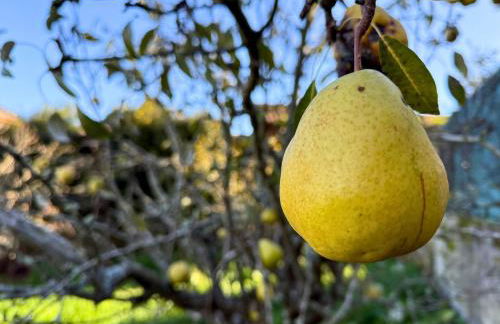 YourHouse Casa Antonio - Foto 24