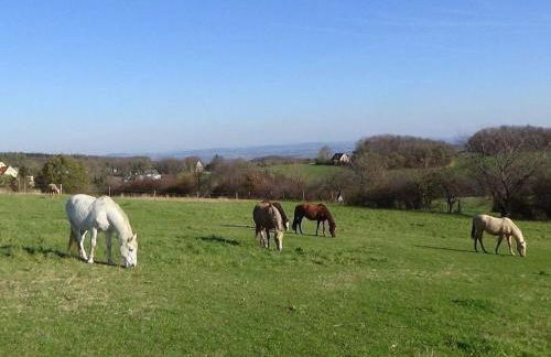 Apartment Wohnung mit Terrasse im sanierten Fachwerkhof by Interhome - Foto 35