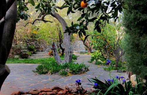 Casa Champasak - Foto 54