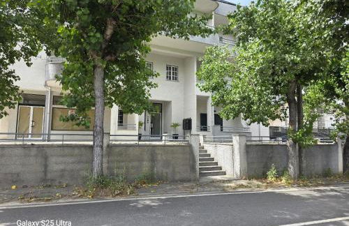 Garça-Real - Foto 8