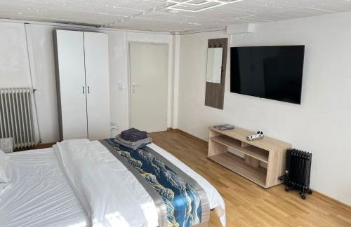 Ferienhaus große Villa, Exhibitors, Monteurhaus - Foto 44