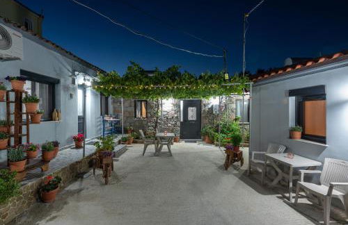 Ρίζες - Rizes - Foto 36