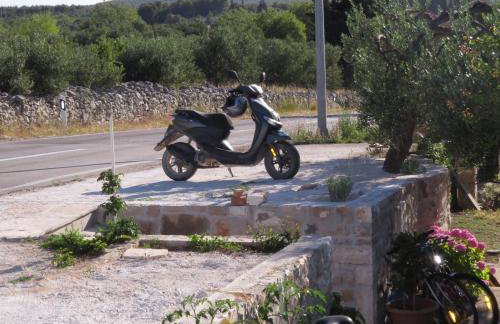 Apartmani Rita - Photo 18