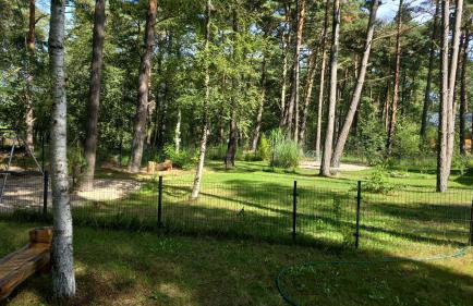 Daglezji 170 - Foto 45