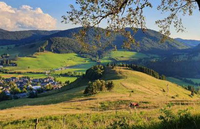 Ferienwohnung Schweizer - Foto 25