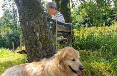 Sunhill Appartments, klimatisiert - Foto 6