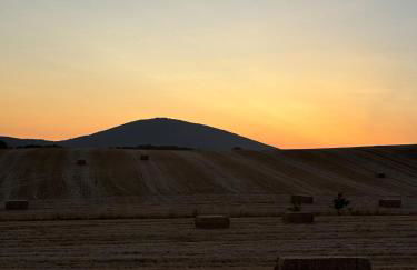 Villa Capalbio - Foto 51