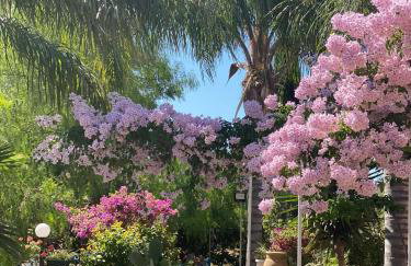 Holiday Maison Villa Arci - Foto 1