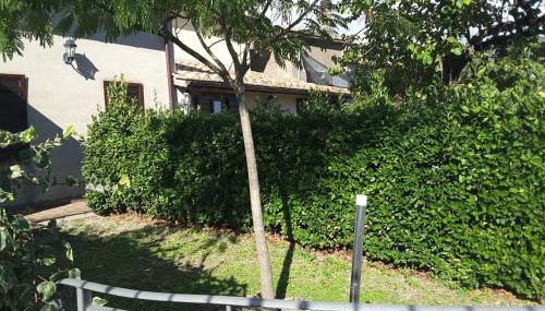 La Fattoria Di Mamma Ro' - Foto 5, Garden