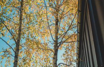 Brzozowy Rożnów - Foto 26