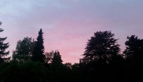 Tom olen Stien - Heidjer Ferien - Foto 5