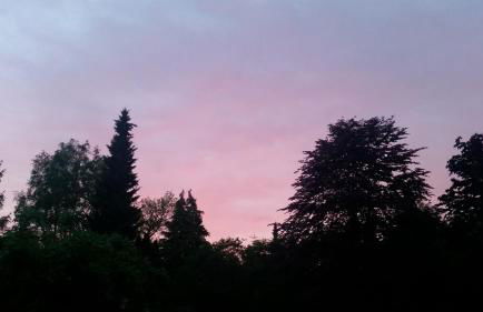 Tom olen Stien - Heidjer Ferien - Foto 5