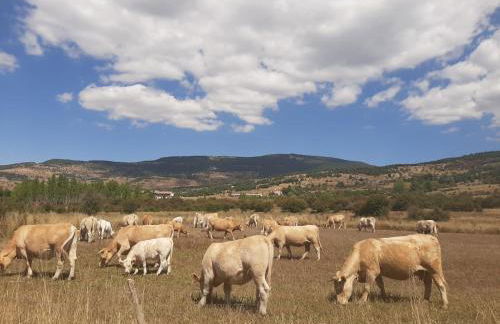 Apartamento LA MONTESA - Foto 55