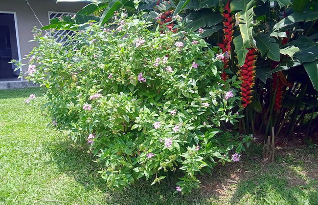 Villas Lux Arenal - Foto 14