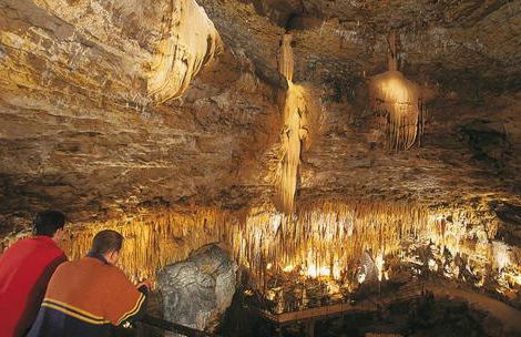 Sur la Cave - Foto 51