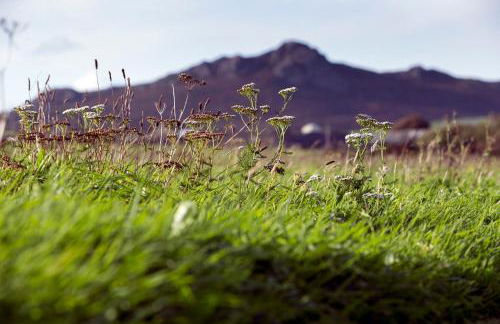 Penrhiw Priory - Foto 39