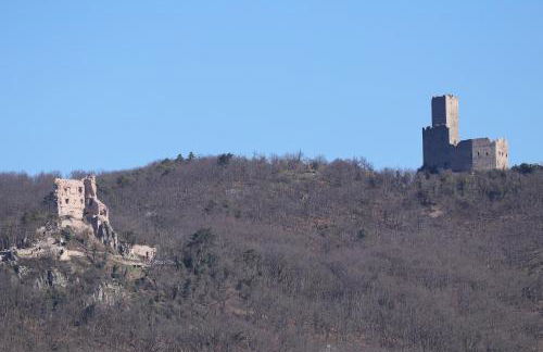 Aux Souvenirs d'Anaëlle gîtes 5 personnes - Foto 30